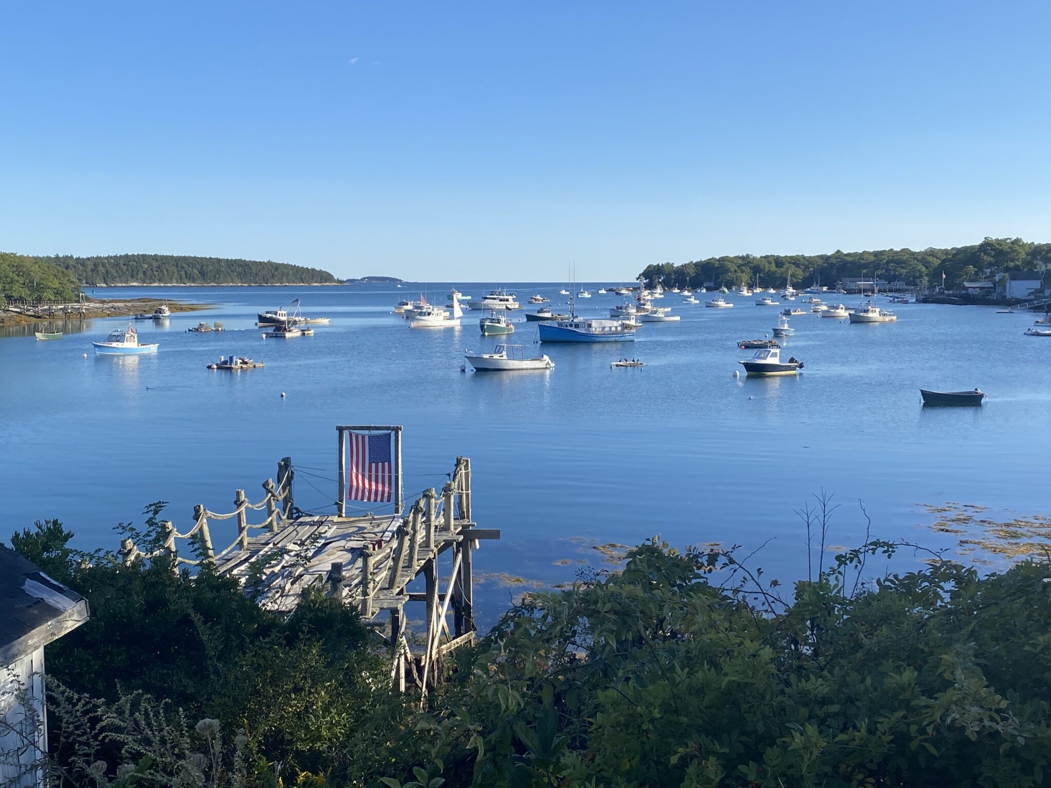 the-maine-attraction-domestic-covid-19-travels-cww