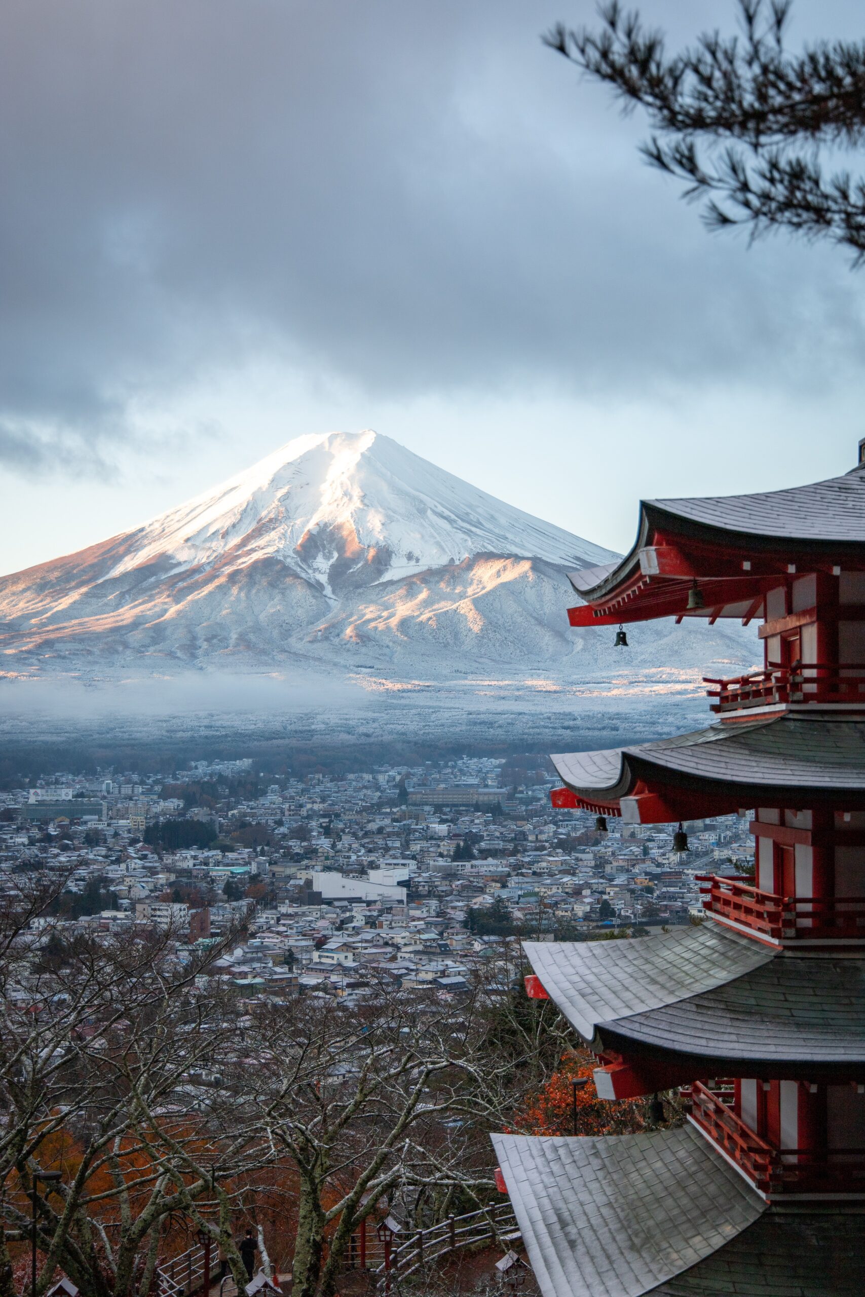 Japan Travel Industry Update